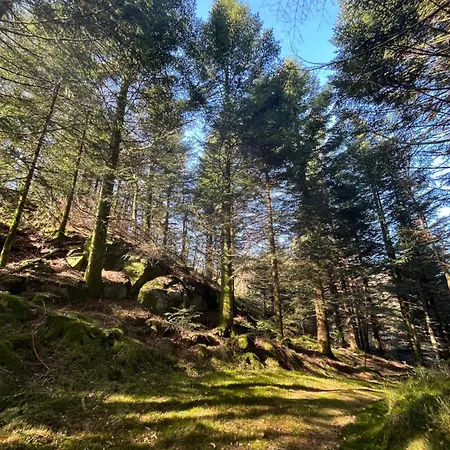 Kvernhusheia Gjestegard *