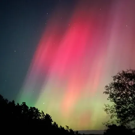 Kvernhusheia Gjestegard 招待所