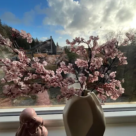 Kvernhusheia Gjestegard